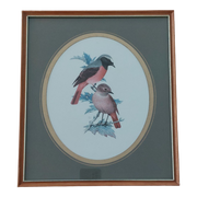 John Murr Botanische Vogelafdruk, Vintage