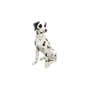 Groot Vintage Porseleinen Beeld Hond Zwart Wit