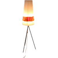 Staande Lamp Aro Leuchte Met Orginelen Celluloide Kap