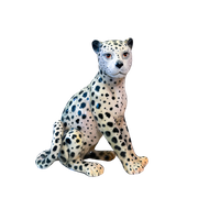 Cheetah Beeld