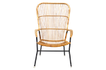 Vintage Rotan Fauteuil Hoge Rug