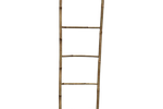 Ladder Van Bamboo