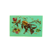Tropische Kever In Hars Vliegend Hert Prosopocoilus Astacoides Taxidermie Insect 13Cm
