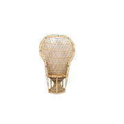 Vintage Pauwenstoel #Rotundumvintage