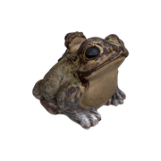 Japanse Kikker Kaeru (蛙)