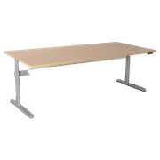 Drentea Elektrisch Zit-Sta Bureau, Wild Peren Blad, 220 X 100 Cm, Hoogte Verstelbaar Onderstel