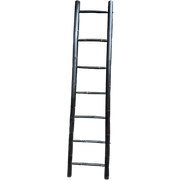 Vintage Bamboe Rotan Ladder Zwart 200X50Cm