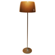Italian Design Floor Lamp With Acrylic Hood In Style Of Harvey Guzzini, 1970S
