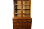 Prachtige Antieke 19E-Eeuwse Mahonie Houten Servies/ Boekenkast, Vitrinekast