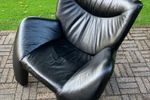 Leolux Echnaton Fauteuil