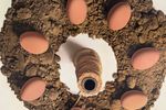 Olie Op Doek 'Eieren Met Touw' Door Frans Clement