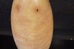 Vintage Mushroom Lamp Albast