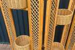 Vintage Kamerscherm Plantenstandaard Rotan Bamboe