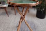 Rotan / Bamboe Vintage Plantentafel