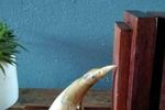 Vintage Art Deco Boekensteunen, Vogels Uit Hoorn
