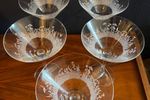 Set Vijf Martini Glazen Bloemdesign