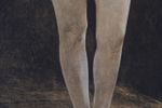 Andrew Wyeth 'The Virgin'