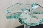 Glass Flower Vase