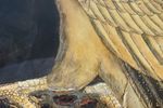 Unieke Grote Antieke Aziatische Salontafel Met Een Ingelegd Blad, Roofvogel