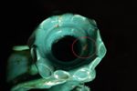 Grote Turquoise Draken Kandelaar In Keramiek Van Vallauris - Gesigneerd Souchon