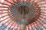 Kleine Parasol
