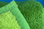 Groene Deken | Kerst